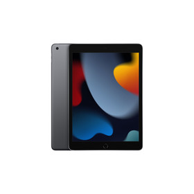 Apple iPad 10.2-inch Wi-Fi 64 GB Grau - Tablet
