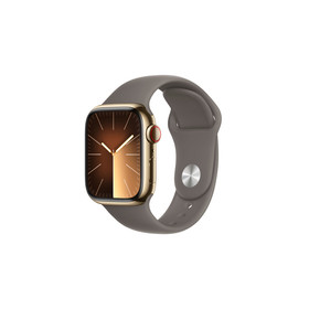 Apple Watch Series 9 gold/braun Edelstahl 41 mm...