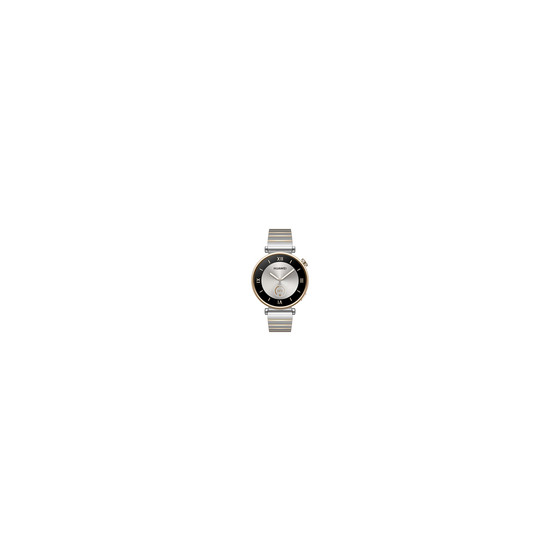 Huawei Watch GT4 41mm Aurora-B19T steel